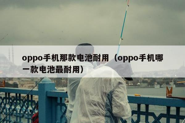 oppo手机那款电池耐用（oppo手机哪一款电池最耐用）