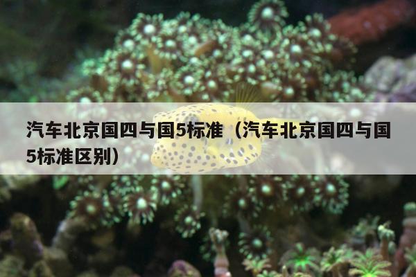 汽车北京国四与国5标准（汽车北京国四与国5标准区别）