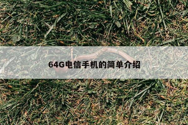 64G电信手机的简单介绍