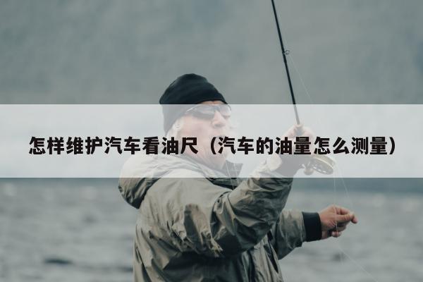 怎样维护汽车看油尺（汽车的油量怎么测量）