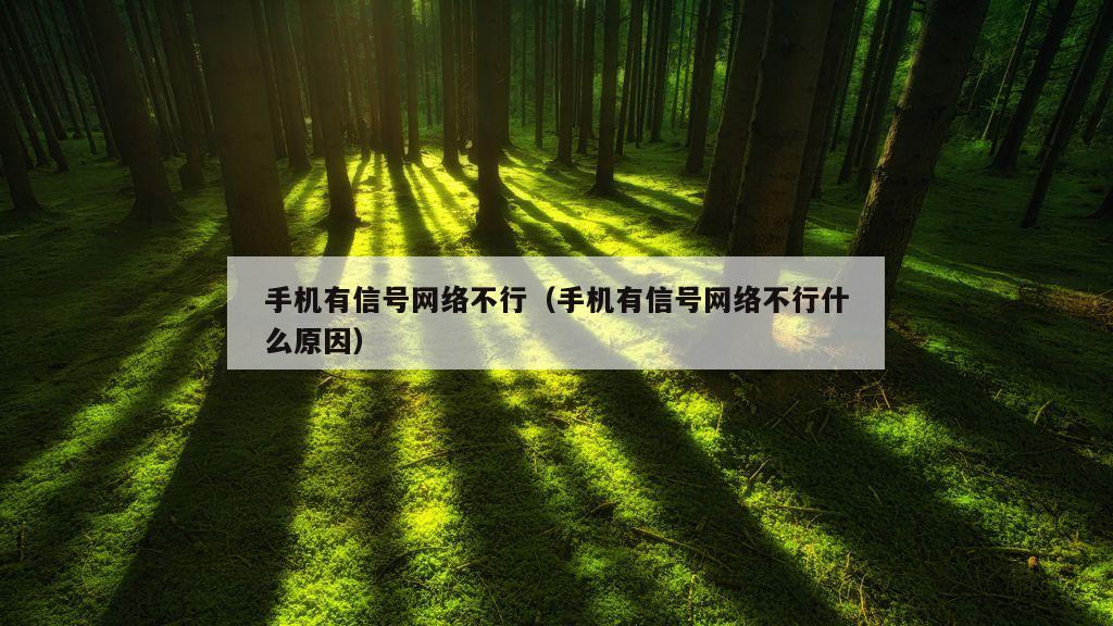 手机有信号网络不行（手机有信号网络不行什么原因）