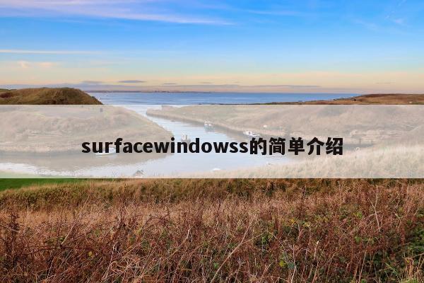 surfacewindowss的简单介绍