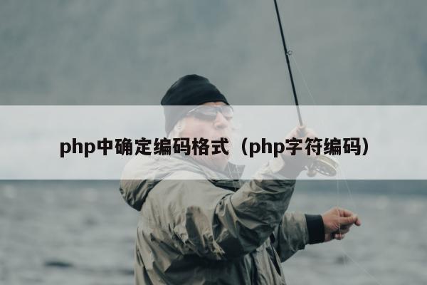 php中确定编码格式（php字符编码）