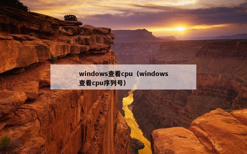 windows查看cpu（windows查看cpu序列号）