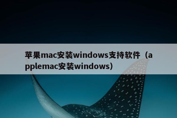 苹果mac安装windows支持软件（applemac安装windows）