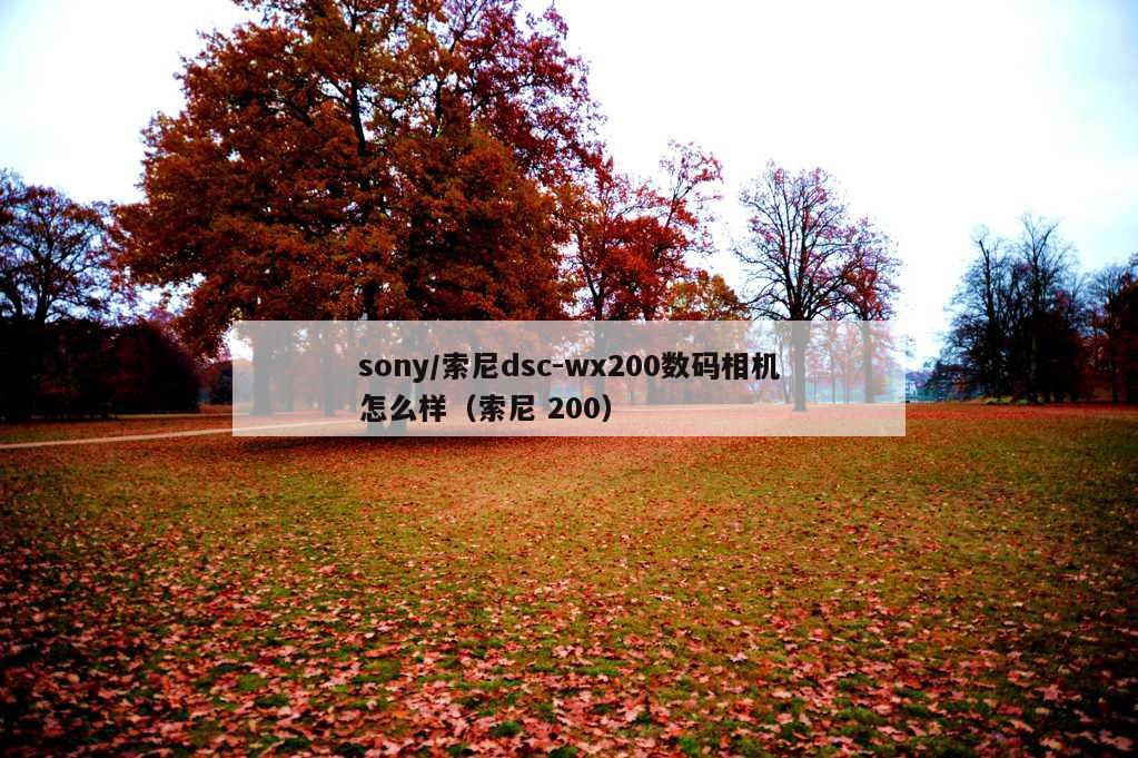 sony/索尼dsc-wx200数码相机怎么样（索尼 200）