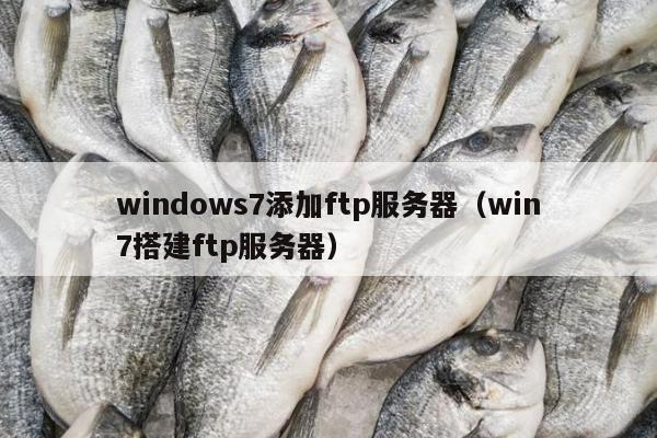 windows7添加ftp服务器（win7搭建ftp服务器）