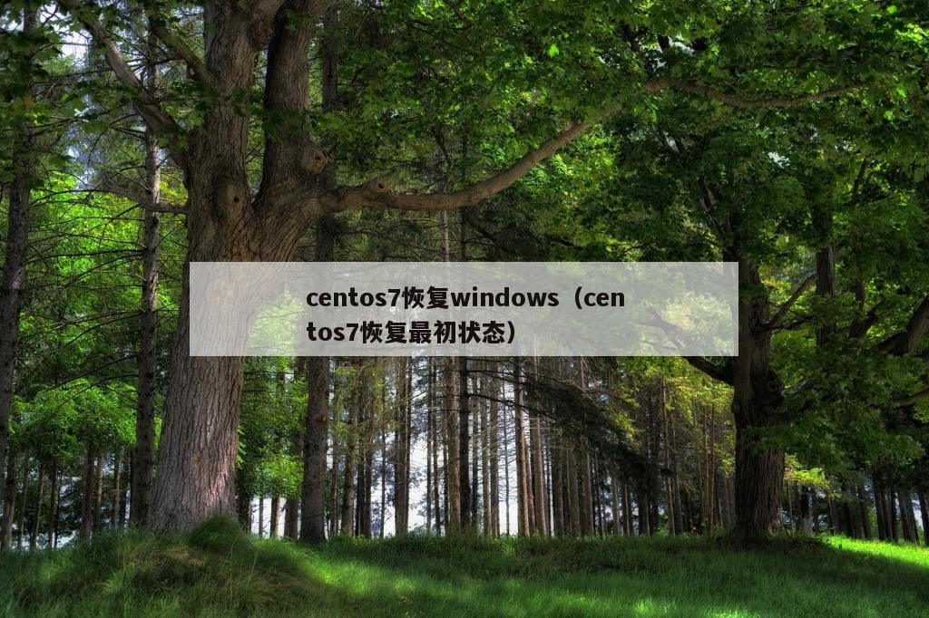 centos7恢复windows（centos7恢复最初状态）