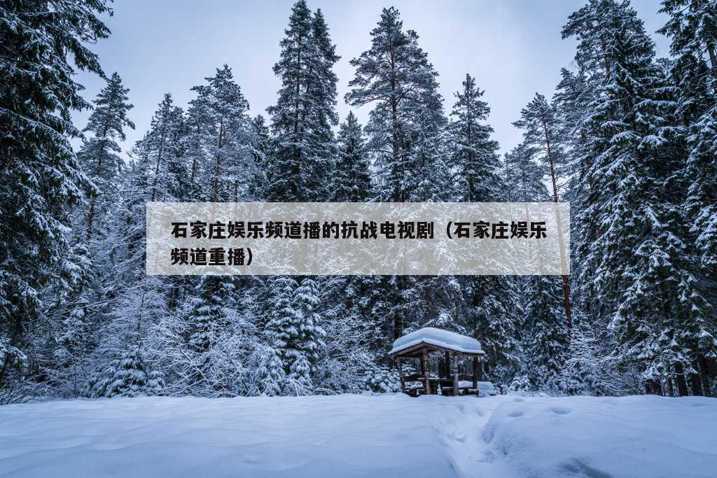 石家庄娱乐频道播的抗战电视剧（石家庄娱乐频道重播）