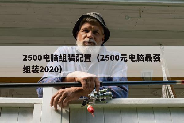 2500电脑组装配置（2500元电脑最强组装2020）