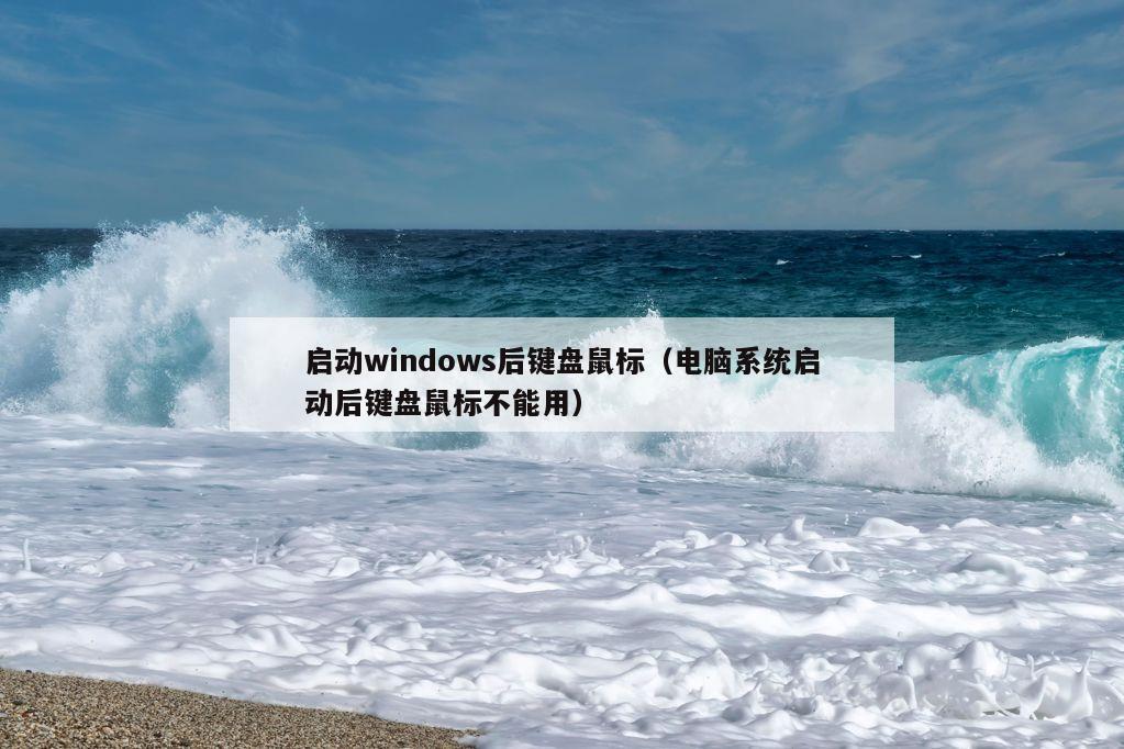 启动windows后键盘鼠标（电脑系统启动后键盘鼠标不能用）