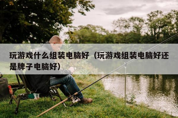 玩游戏什么组装电脑好（玩游戏组装电脑好还是牌子电脑好）