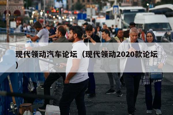 现代领动汽车论坛（现代领动2020款论坛）