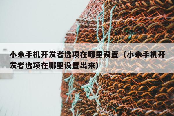 小米手机开发者选项在哪里设置（小米手机开发者选项在哪里设置出来）