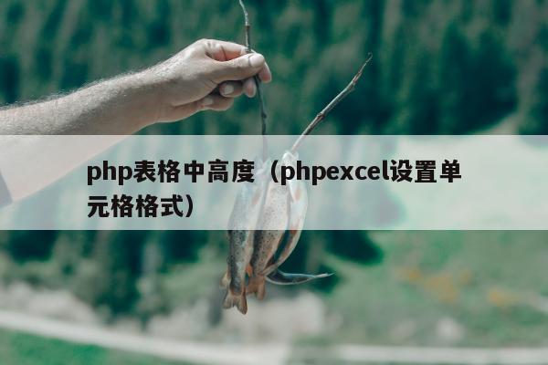 php表格中高度（phpexcel设置单元格格式）