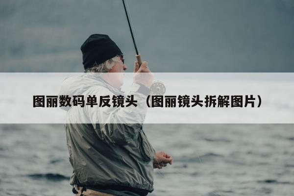 图丽数码单反镜头（图丽镜头拆解图片）