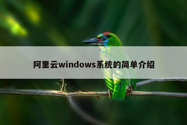 阿里云windows系统的简单介绍