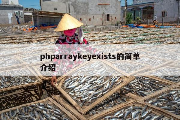 phparraykeyexists的简单介绍