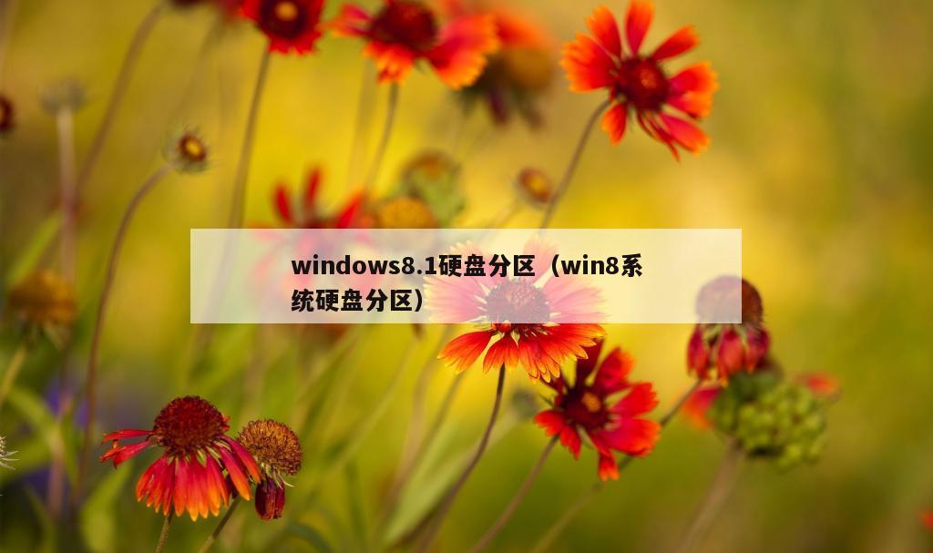 windows8.1硬盘分区（win8系统硬盘分区）