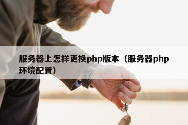 服务器上怎样更换php版本（服务器php环境配置）