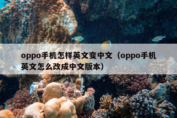 oppo手机怎样英文变中文（oppo手机英文怎么改成中文版本）