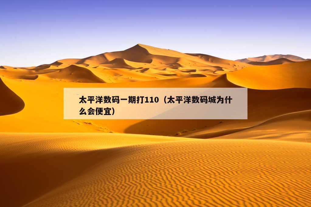 太平洋数码一期打110（太平洋数码城为什么会便宜）