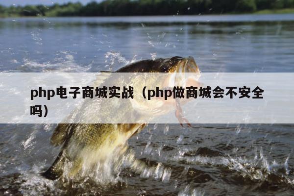 php电子商城实战（php做商城会不安全吗）