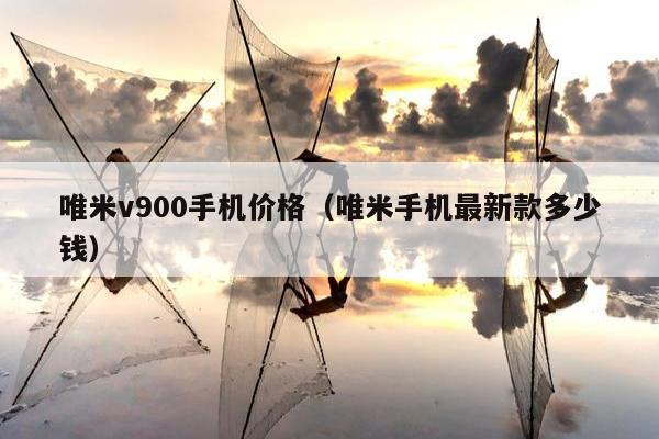 唯米v900手机价格（唯米手机最新款多少钱）