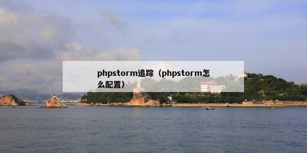 phpstorm追踪（phpstorm怎么配置）