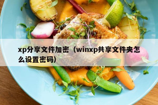 xp分享文件加密（winxp共享文件夹怎么设置密码）