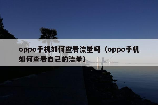 oppo手机如何查看流量吗（oppo手机如何查看自己的流量）