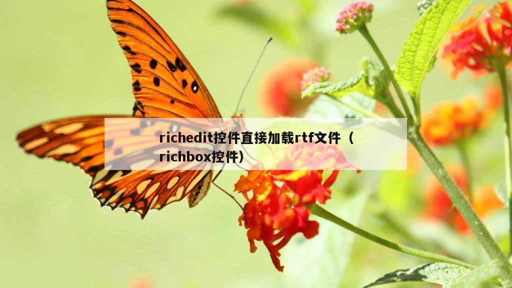 richedit控件直接加载rtf文件（richbox控件）