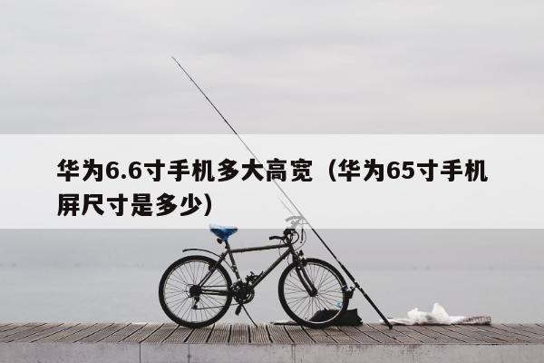 华为6.6寸手机多大高宽（华为65寸手机屏尺寸是多少）