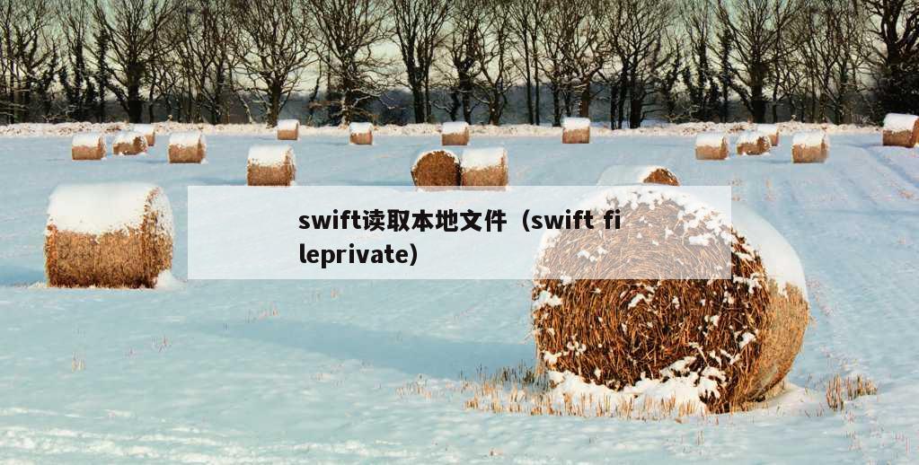 swift读取本地文件（swift fileprivate）