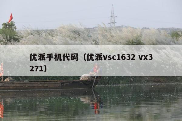 优派手机代码（优派vsc1632 vx3271）