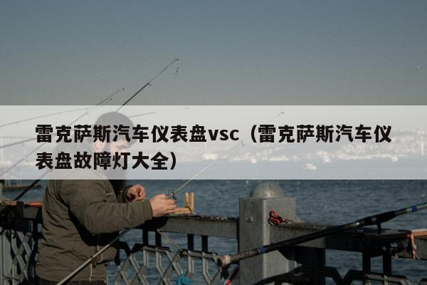 雷克萨斯汽车仪表盘vsc（雷克萨斯汽车仪表盘故障灯大全）