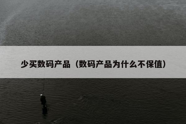 少买数码产品（数码产品为什么不保值）