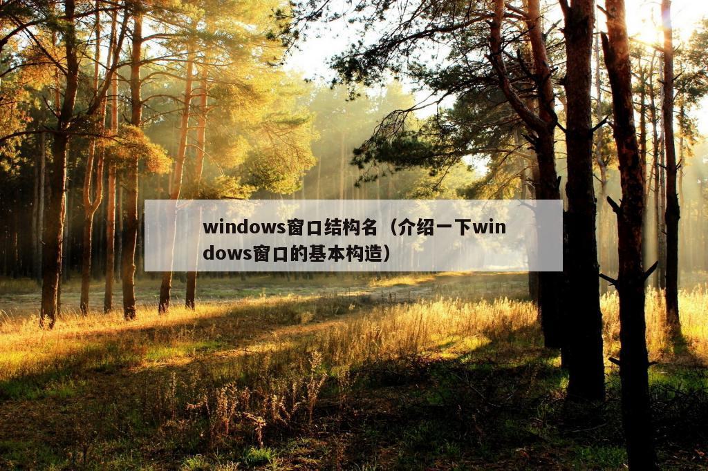 windows窗口结构名（介绍一下windows窗口的基本构造）