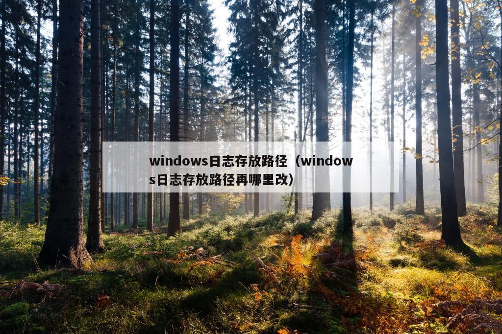 windows日志存放路径（windows日志存放路径再哪里改）