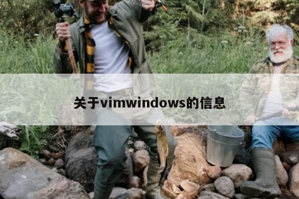 关于vimwindows的信息