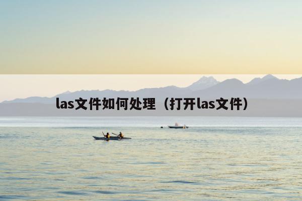 las文件如何处理（打开las文件）