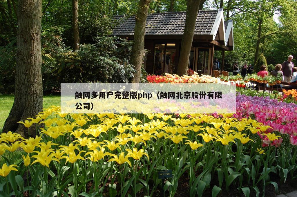 触网多用户完整版php（触网北京股份有限公司）