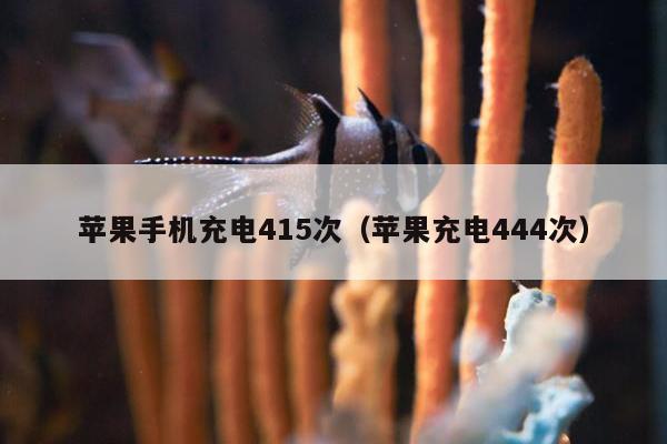 苹果手机充电415次（苹果充电444次）