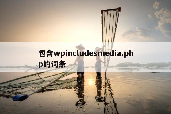 包含wpincludesmedia.php的词条