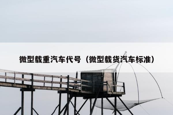 微型载重汽车代号（微型载货汽车标准）