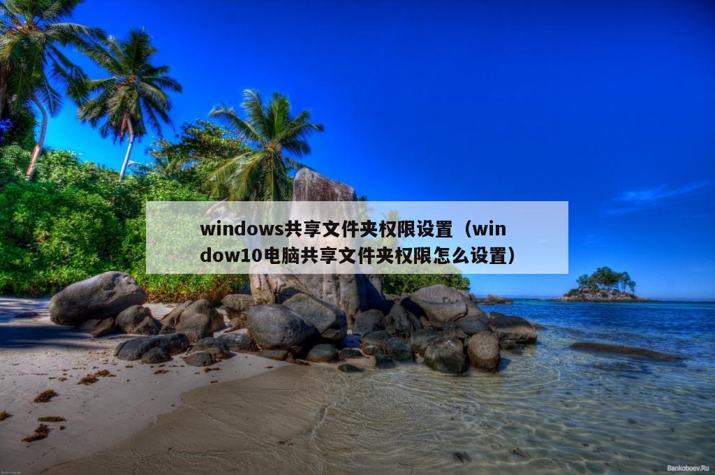 windows共享文件夹权限设置（window10电脑共享文件夹权限怎么设置）