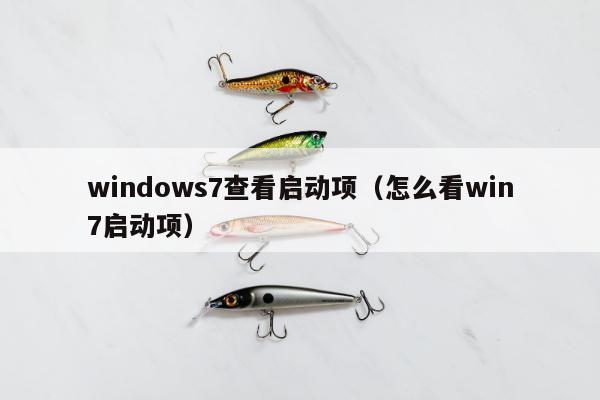 windows7查看启动项（怎么看win7启动项）