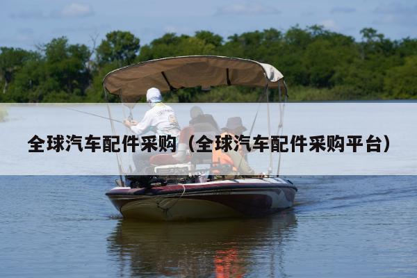 全球汽车配件采购（全球汽车配件采购平台）