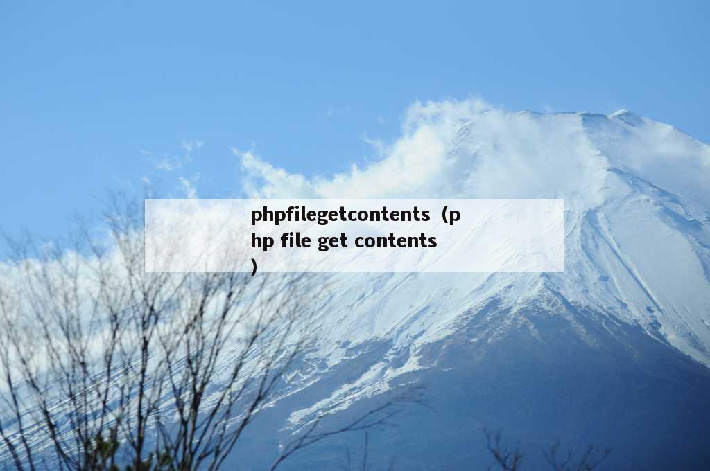 phpfilegetcontents（php file get contents）