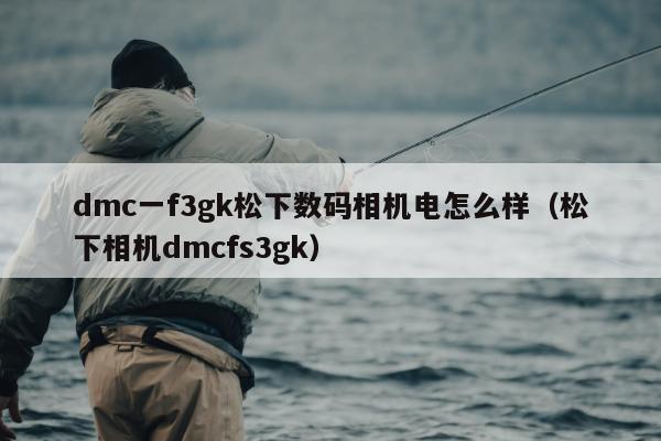 dmc一f3gk松下数码相机电怎么样（松下相机dmcfs3gk）